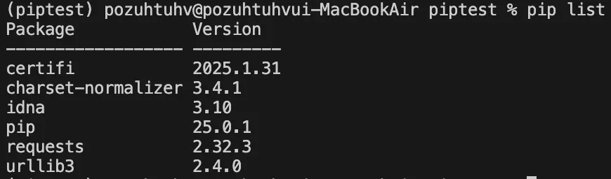 2025-04-19-python-pip-1