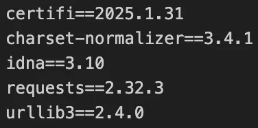 2025-04-19-python-pip-4