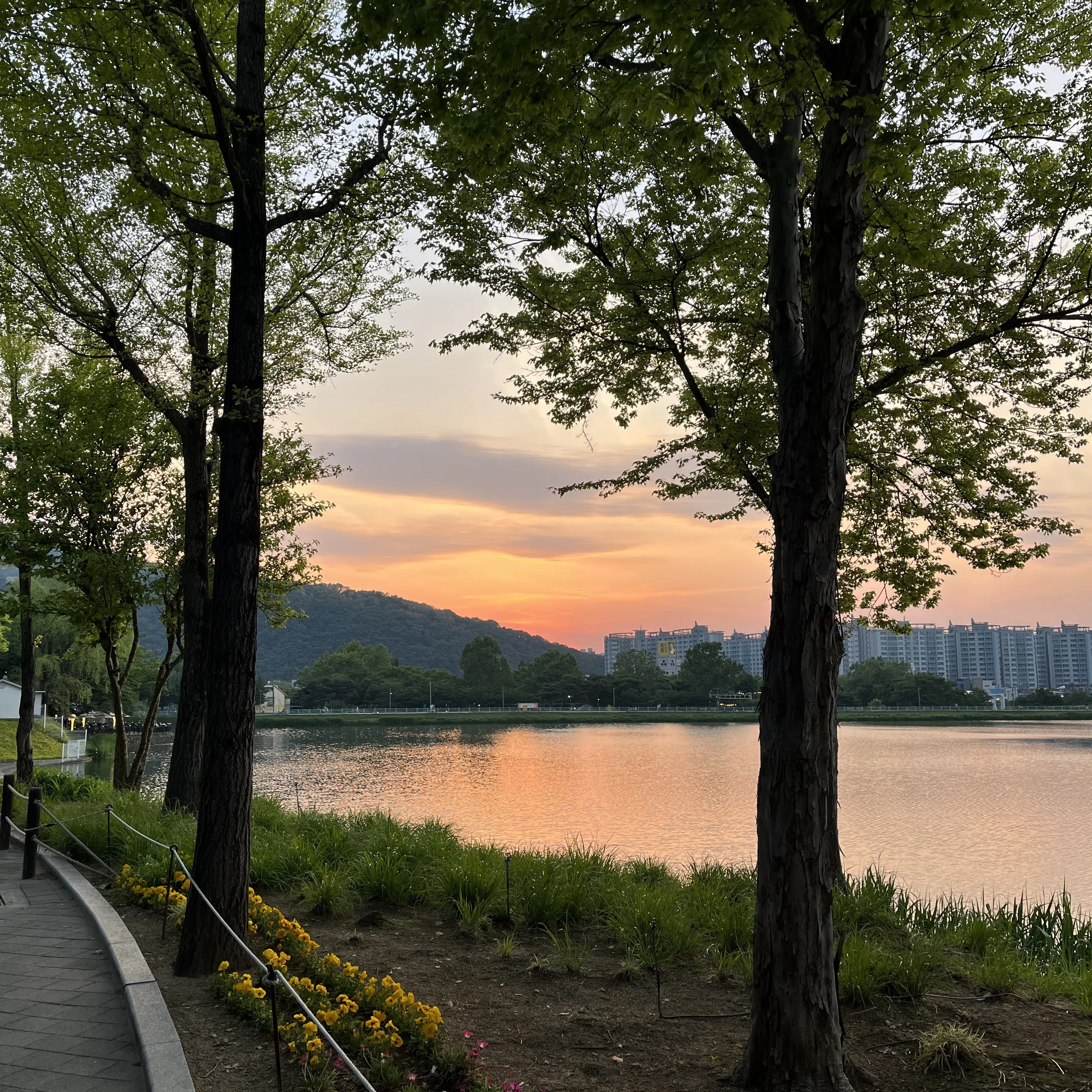 2025-06-24-daily-fast-daegu-mode-10