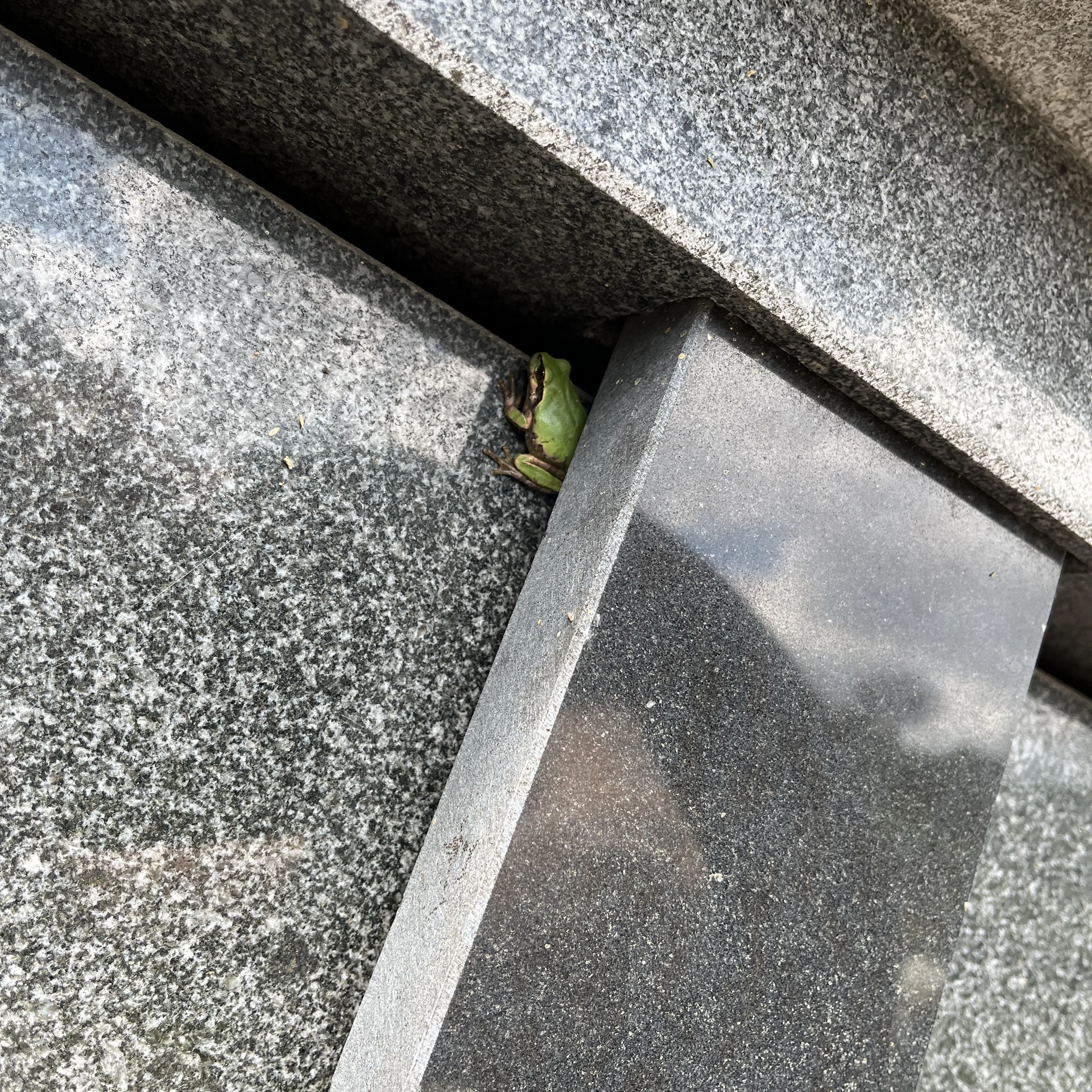 2025-11-02-daily-leave-a-company-2