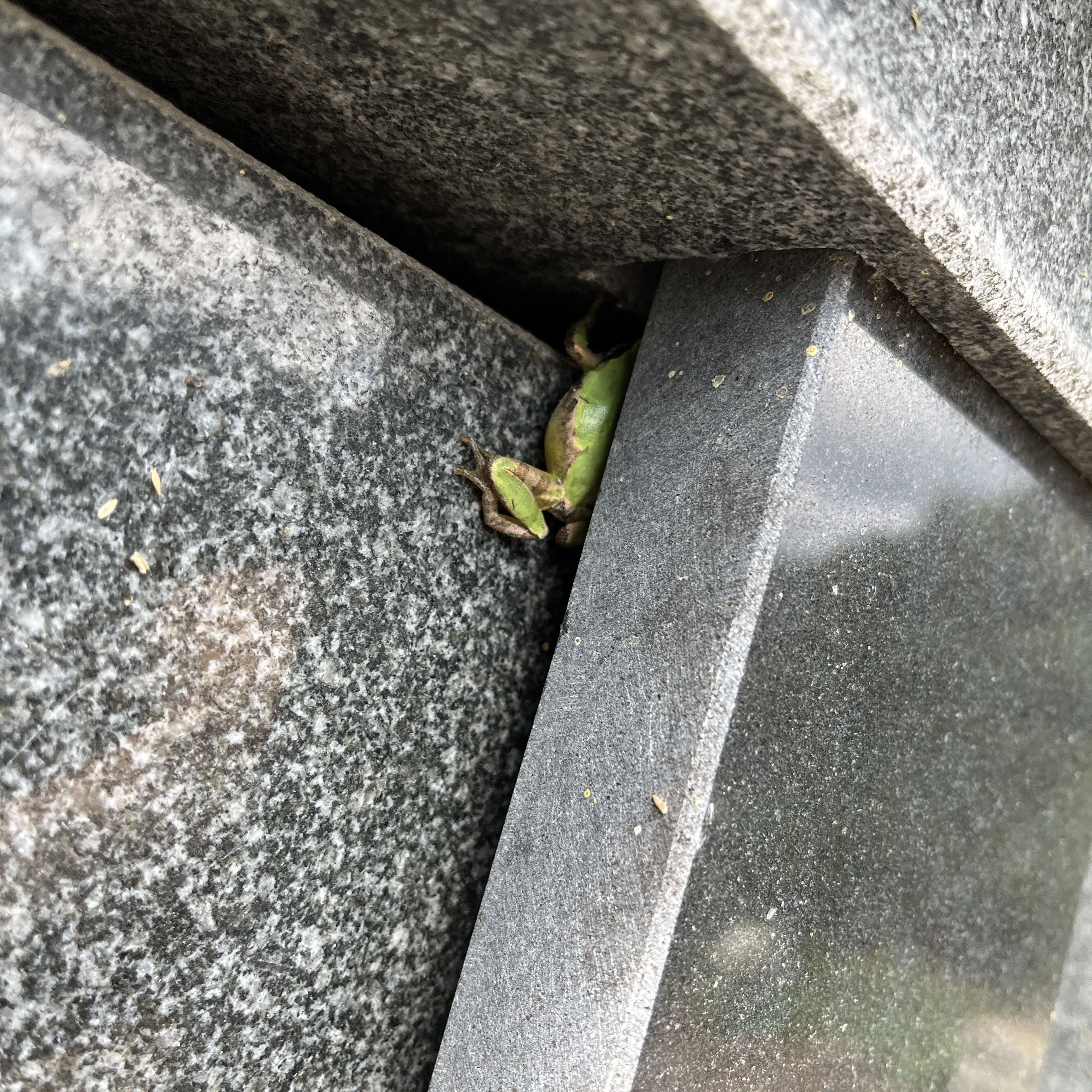 2025-11-02-daily-leave-a-company-3