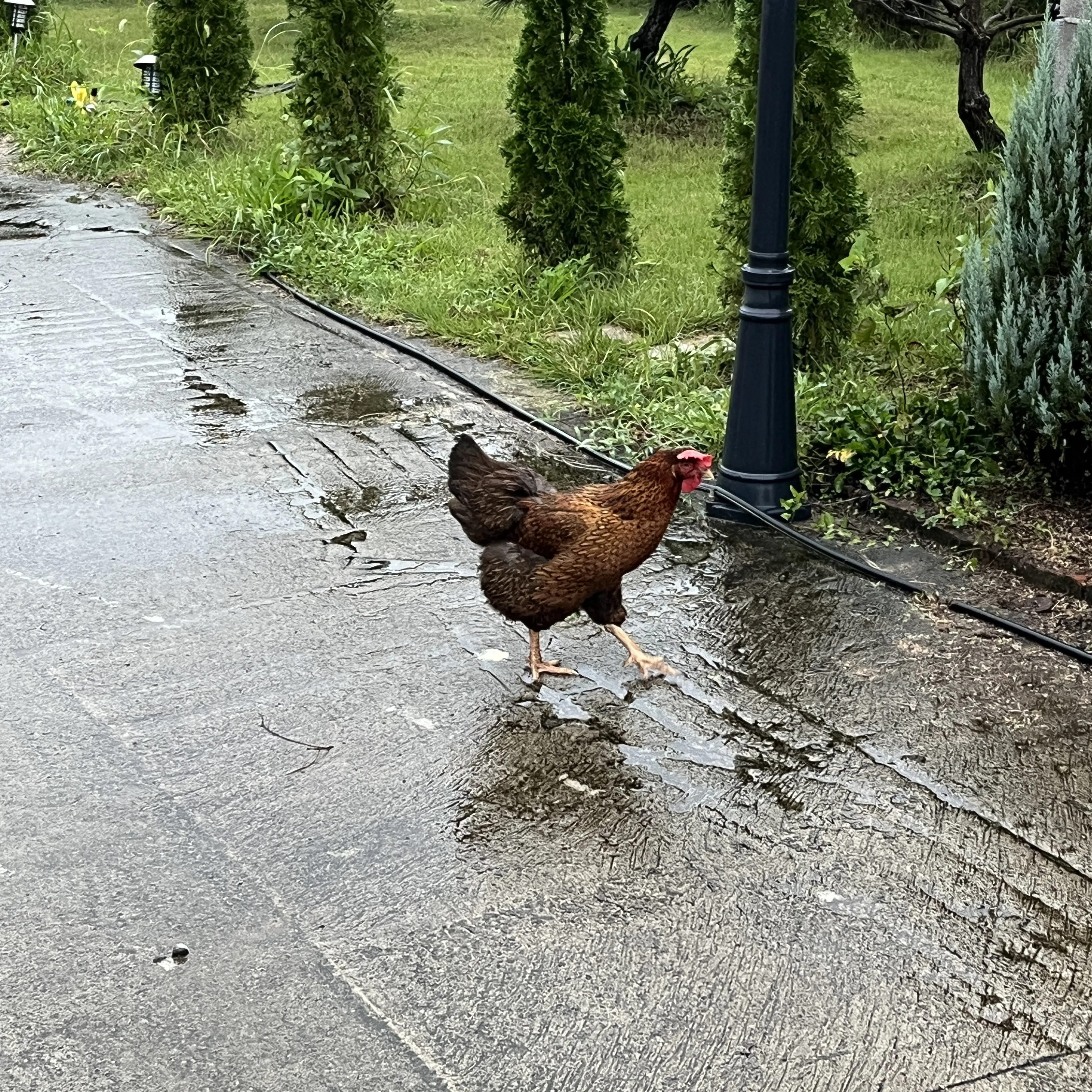 2025-11-02-daily-leave-a-company-6