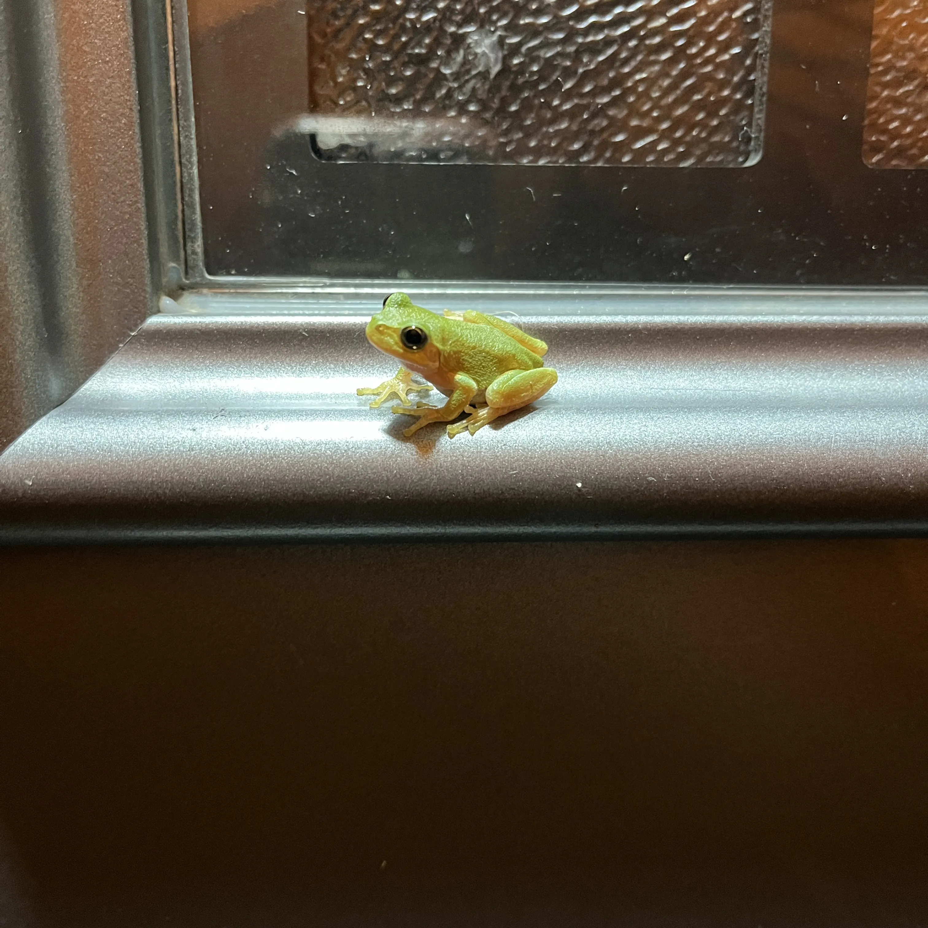 2025-11-02-daily-leave-a-company-7